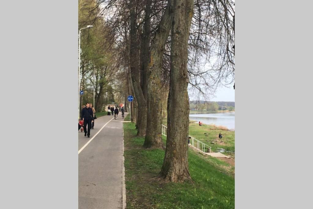 Latgales 266 6 Can Stay Self Check In Out River 200M Riga Bagian luar foto