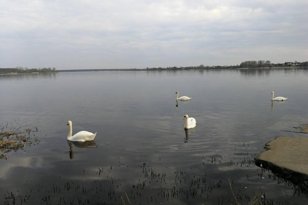 Latgales 266 6 Can Stay Self Check In Out River 200M Riga Bagian luar foto